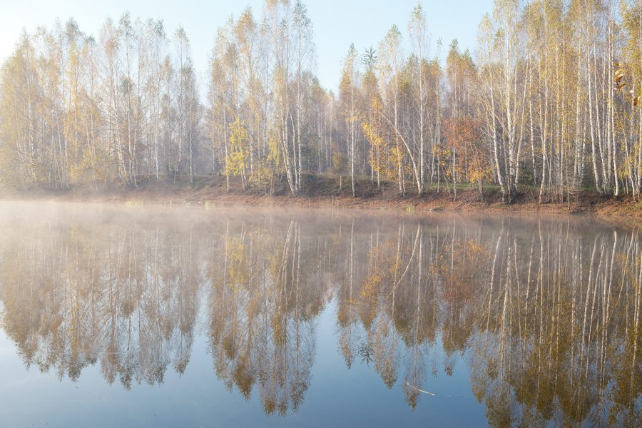 Туман и озеро