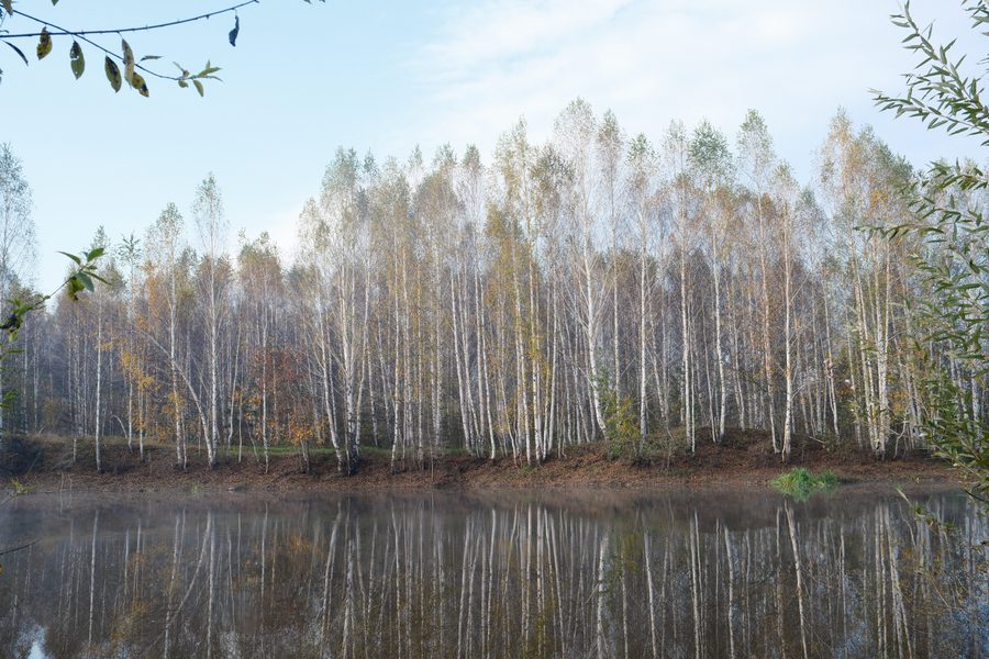 Туман и озеро, кадр 5