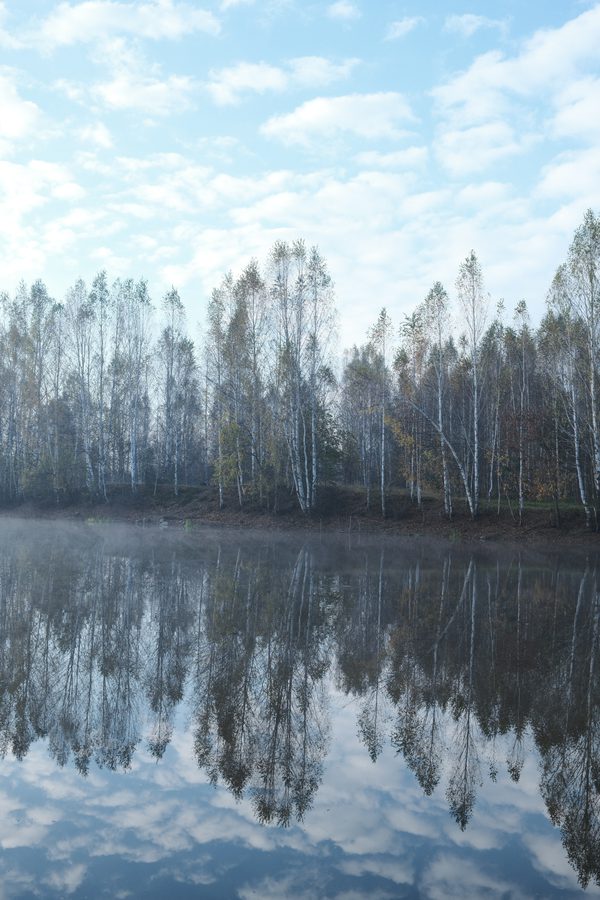 Отражение здесь главнее деревьев.